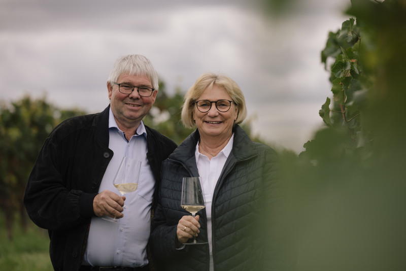 Weingut Dr. Hinkel Impressionen